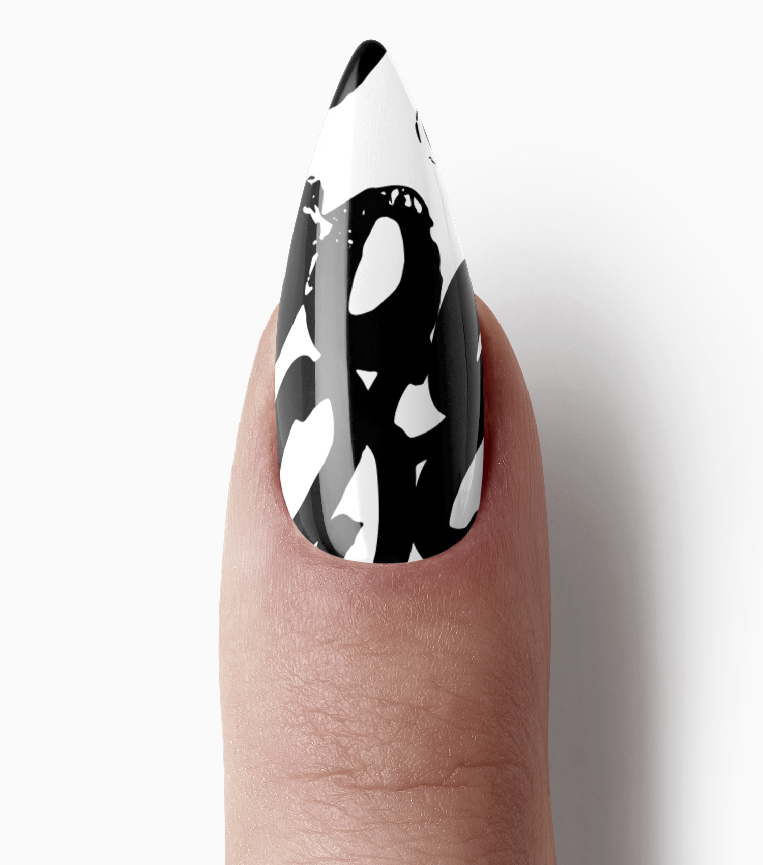 Echo In Black + White