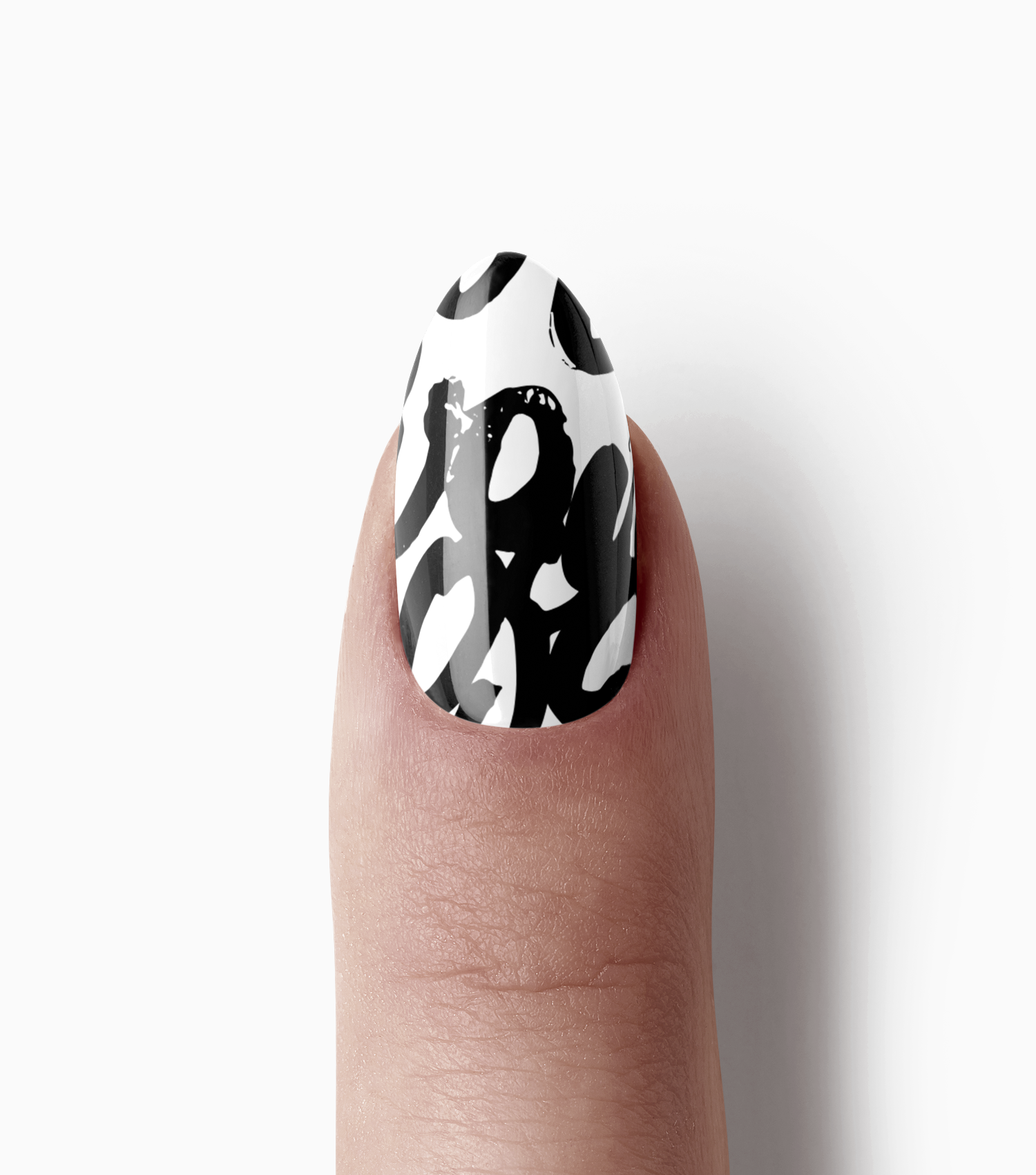 Echo In Black + White